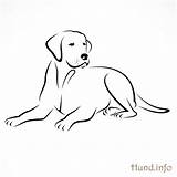 Hunde Zeichnungen Hunden sketch template