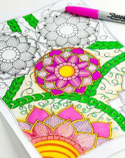 spring blooms coloring sheet coloring pages printable flower