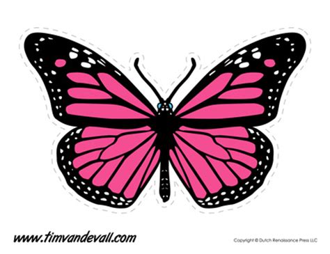 butterfly templates butterfly shapes tims printables