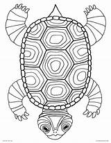 Coloring Turtle Pages Kids Pond Shell Mandala Printable Drawing Outline Color Detailed Sea Animals Adults Snapping Turtles Getcolorings Getdrawings Print sketch template