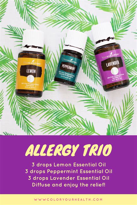 diffuser blend for allergy relief essential oils
