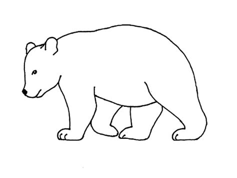 como dibujar  oso pardo facil  ninos caracteres ninos