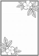 Border Flower Drawing Borders Simple Word Sketch Designs Templates Corner Paper Clipart Christmas Clip Cliparts School Easy Projects Coloring Document sketch template