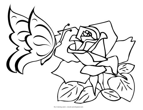 coloring pages flowers butterflies az coloring pages