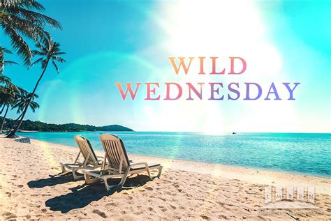 Exciting Wild Wednesday Deals For June 10 2020 Lmbpn Publishing