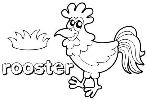 colouring pages animal rooster  printable  toddler colouring