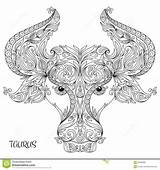 Coloring Taurus Zodiac Drawn Pattern Hand Book Adult Vector Illustration Stock Preview sketch template