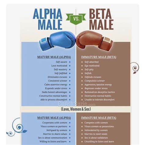 alpha male  beta male relationship memes relationships gentleman