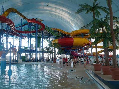 grapeland water park usa theme parks  miami holidify