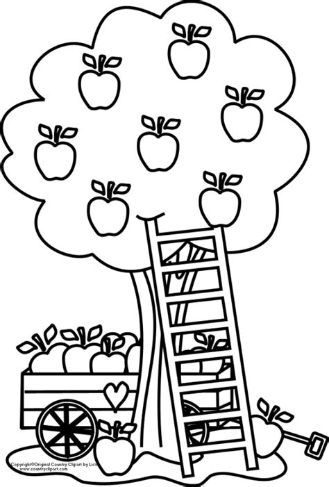 printable apple coloring pages  gvjp