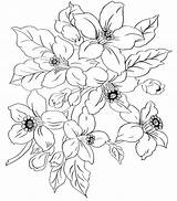 Embroidery Dogwood sketch template