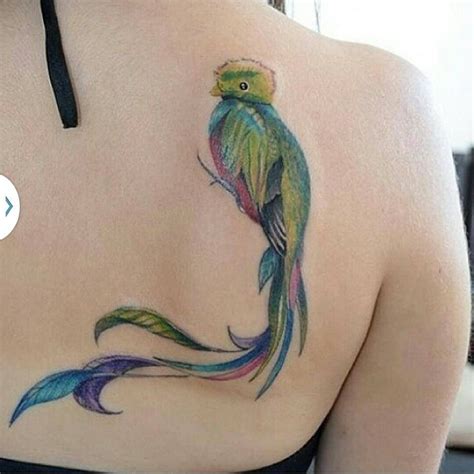 our guatemalan bird quetzal ️😘 quetzal tattoo body art tattoos