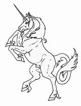 Coloring Pages Unicorn Pegasus Unicorns Fantasy Maze Kids Horse Gif Kleurplaten Fun Herald Print Color sketch template
