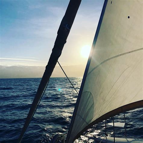 port douglas yacht charters afternoon snorkel sunset sail
