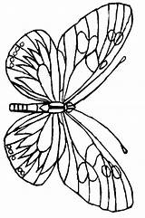 Butterfly Coloring Pages Color Print Coloring2print sketch template