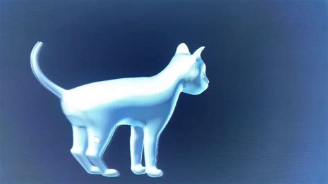 Blender 3d Models Cat