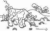 Vache Coloriage Imprimer Dessin Rit Taureau Colorier Incroyable Vaches Vaca Chezcolombes Ohbq Danieguto Dessiner Archivioclerici Savoir Lưu sketch template