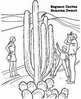 Coloring Desert Pages National Gobi Sonoran Cactus Monument Barrel Racing Monuments Drawing Kids Printables Saguaro Print Parks Printable Arizona Usa sketch template
