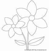 Flower Drawing Petals Coloring Pages Getdrawings sketch template