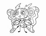 Moth Clothing Coloring Coloringcrew sketch template
