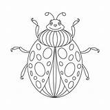 Ladybug Linear Vecteezy sketch template
