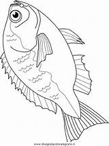 Pesci Pesce Disegnidacoloraregratis Salvato Stampare sketch template