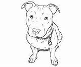 Stafford Tekenen Hond Honden sketch template