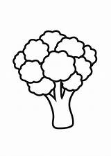 Broccoli sketch template