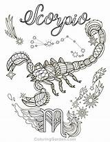 Scorpio Zodiac Sternzeichen Colouring Skorpion Coloriages Erwachsene Ausmalen Taurus Zodiaque Adultes Libra Astrology Shadows Signe Adulte Aileen Fischer sketch template