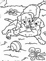 Puppies Kleurplaten Honden Schattige sketch template