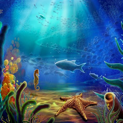 beautiful underwater wallpaper wallpapersafari