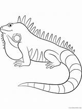 Iguana Coloring4free sketch template