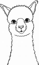 Alpaca Llama Wecoloringpage Alpacas Malvorlagen Zeichnung Alpaka Malen Riscos Llamas Lhamas Applique Alpakas Einzigartig Graciosos sketch template