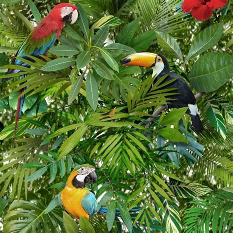 muriva tropical jungle parrot birds wallpaper  uncategorised  wallpaper depot uk