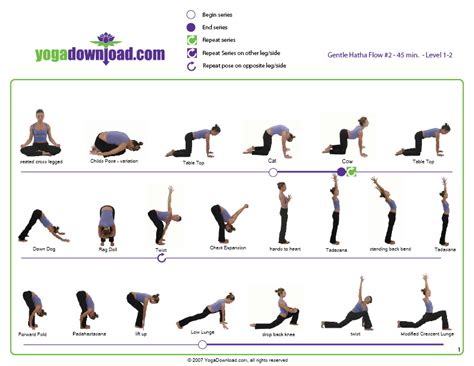 Yoga Downloads Online Yoga Pose Guide Advanced Yoga And