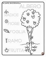 Festa Alberi Degli Maestramichela20 sketch template