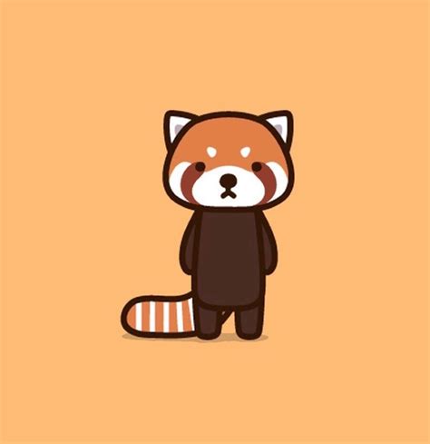 red panda panda drawing red panda panda illustration