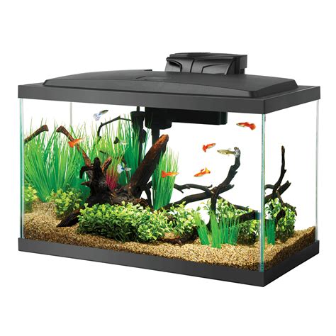 aqueon standard glass aquarium tank  gallon petco  gallon fish