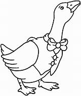 Duck Coloring Pages Hunting Cliparts Printable Outline Clipart Color Library Clothes Para Colorir Ducks Patos Desenho sketch template