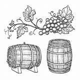 Barrels Grape sketch template
