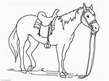 Coloring Pages Horses Printable Ages Print Big sketch template