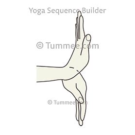 wrist bending yoga yoga sequences benefits variations  sanskrit