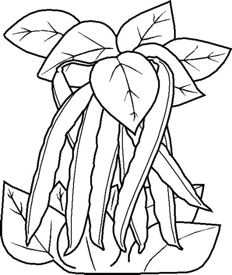 fruits vegetables coloring pages vegetable coloring pages  kids