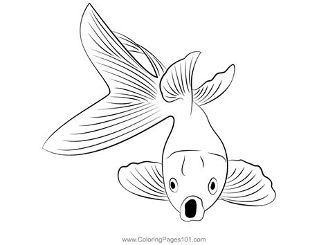 goldfish open mouth coloring page  kids  goldfishes printable