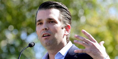 Trump Jr Releases Statement On Meeting With Russian Lawyer Fox News