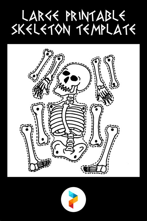 large printable skeleton template printableecom life size