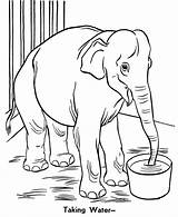 Zoo Coloring Pages Animal Preschool Kids Getdrawings sketch template