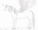 Wings Unicorns sketch template