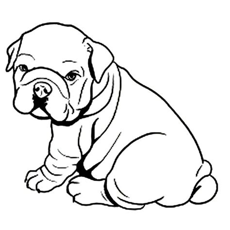 fat bulldog puppy coloring page  printable coloring pages  kids