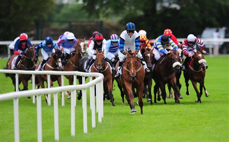 horse racing ireland nominations   announced